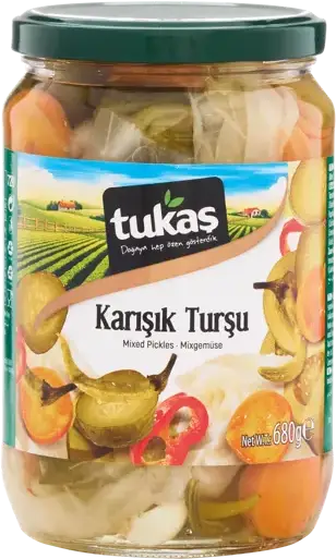 KARIŞIK TURŞU